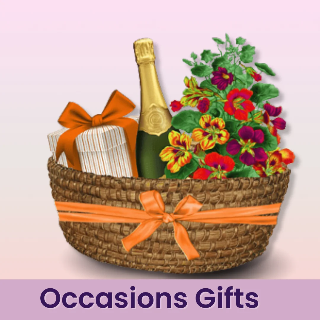 Occasion Gifts 